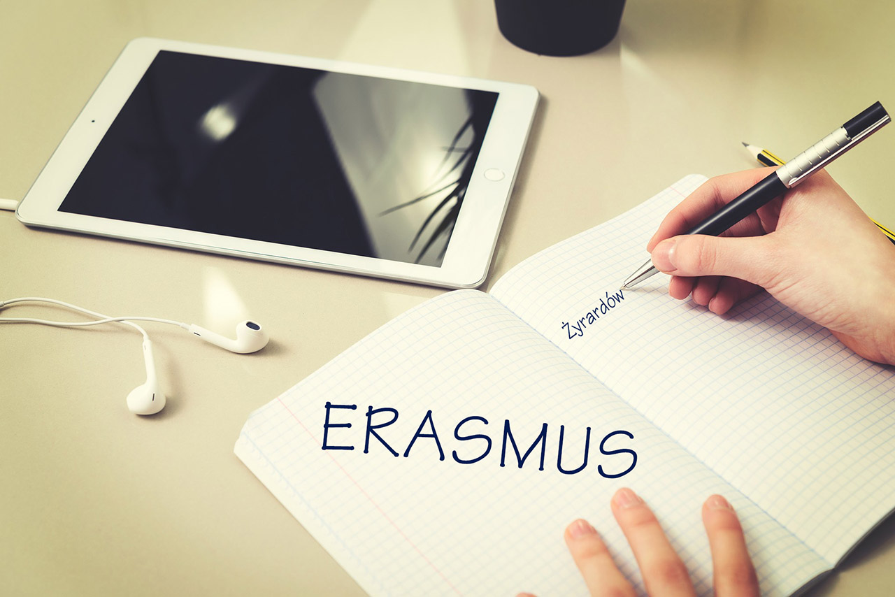 grafika promująca projekt Erasmus